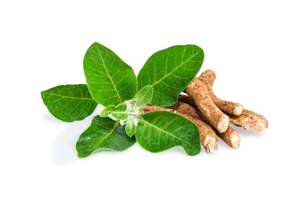 Ashwagandha Root
